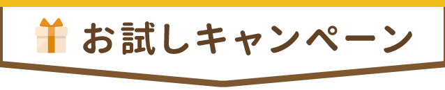 お試しキャンペーン