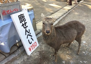 教えてよ